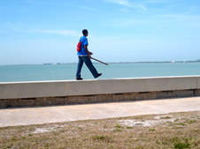 Enlarge photo 80