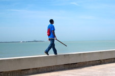 Enlarge photo 79
