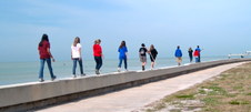 Enlarge photo 83
