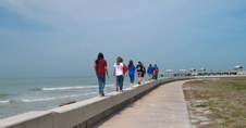 Enlarge photo 82
