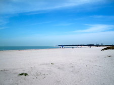 Enlarge photo 99