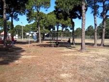 Enlarge MOV 17
