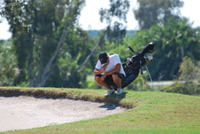 Enlarge photo 61