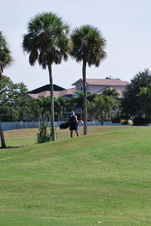 Enlarge photo 87