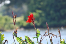 Enlarge photo 103