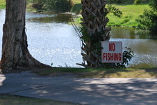 Enlarge photo 104