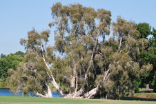 Enlarge photo 143
