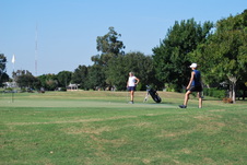 Enlarge photo 252