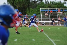 Enlarge photo 51