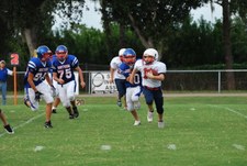Enlarge photo 70