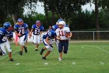 Enlarge photo 71