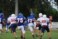 Enlarge photo 74