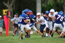 Enlarge photo 82