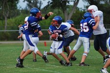 Enlarge photo 95