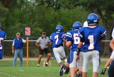 Enlarge photo 102
