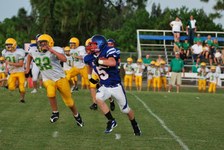 Enlarge photo 59