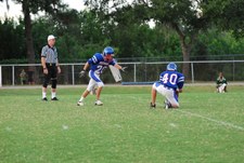 Enlarge photo 93