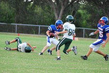 Enlarge photo 119