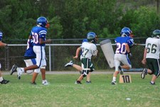 Enlarge photo 122