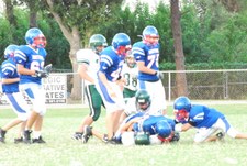 Enlarge photo 133