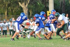 Enlarge photo 137