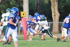 Enlarge photo 139