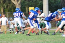 Enlarge photo 141