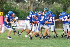 Enlarge photo 145