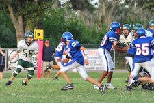 Enlarge photo 146