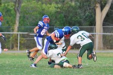 Enlarge photo 148