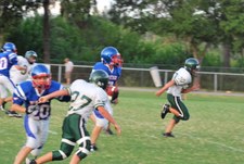 Enlarge photo 177