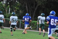 Enlarge photo 203
