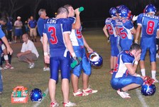 Enlarge photo 103