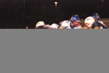 Enlarge photo 305