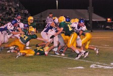 Enlarge photo 46