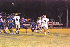 Enlarge photo 41