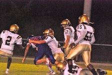 Enlarge photo 63