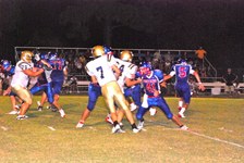 Enlarge photo 72