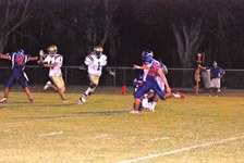 Enlarge photo 78