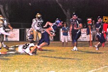 Enlarge photo 149