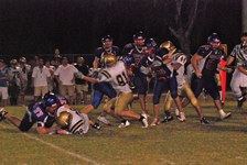 Enlarge photo 165