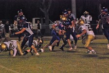 Enlarge photo 166