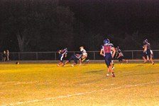 Enlarge photo 187