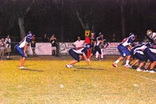 Enlarge photo 214