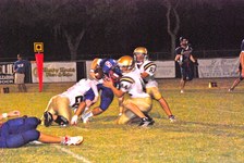 Enlarge photo 225