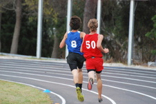 Enlarge photo 399