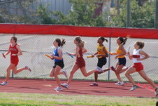 Enlarge photo 102