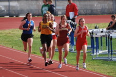 Enlarge photo 103