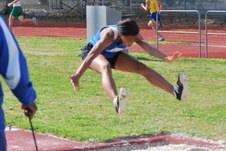 Enlarge photo 137