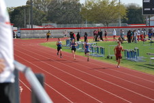 Enlarge photo 160